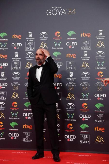 Todas las fotos de los Premios Goya de 2020