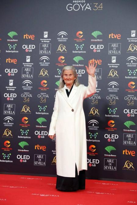 Todas las fotos de los Premios Goya de 2020