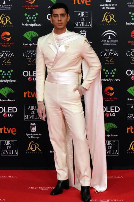 Todas las fotos de los Premios Goya de 2020