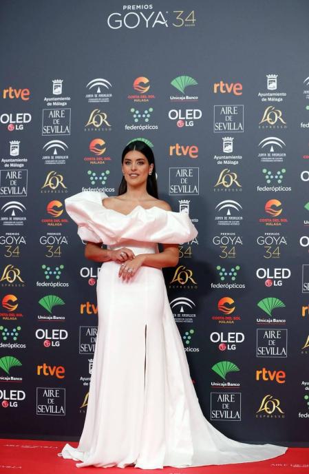 Todas las fotos de los Premios Goya de 2020