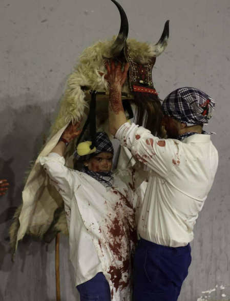 Fotos de la celebración del Carnaval rural en Alsasua este 25 de febrero, con los momotxorros como protagonistas.