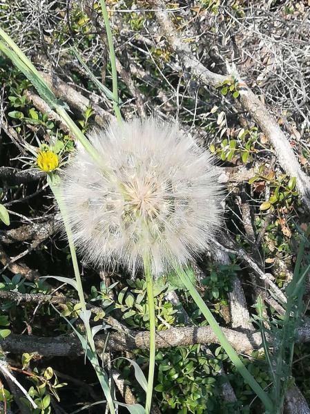 Fotos de la primavera enviadas por los lectores de diariodenavarra.es