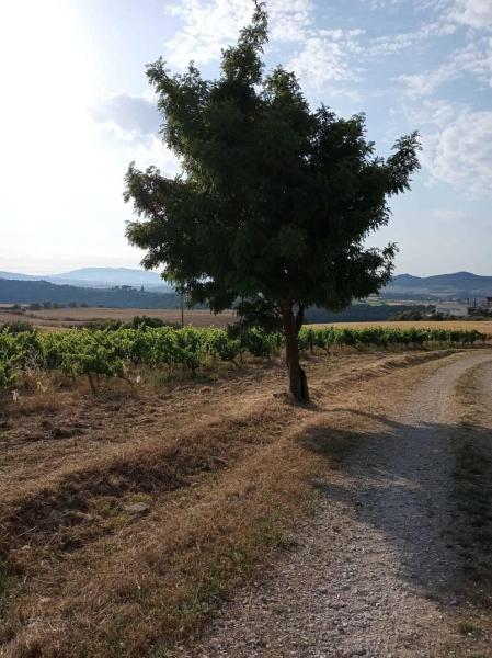 Fotos de la primavera enviadas por los lectores de diariodenavarra.es