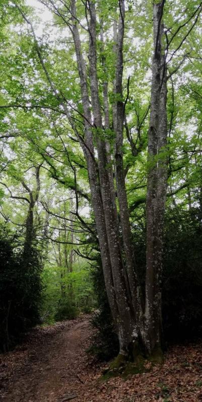 Fotos de la primavera enviadas por los lectores de diariodenavarra.es