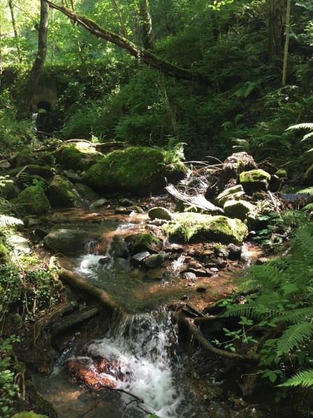 Fotos de la primavera enviadas por los lectores de diariodenavarra.es