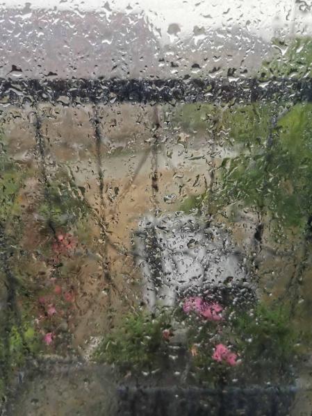 Fotos de la primavera enviadas por los lectores de diariodenavarra.es