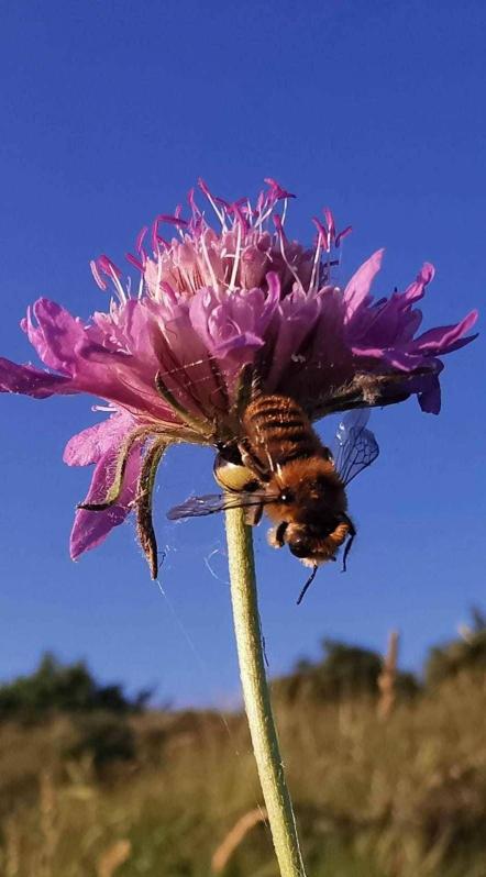Fotos de la primavera enviadas por los lectores de diariodenavarra.es