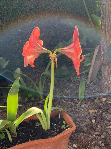 Fotos de la primavera enviadas por los lectores de diariodenavarra.es