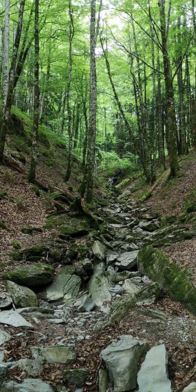 Fotos de la primavera enviadas por los lectores de diariodenavarra.es