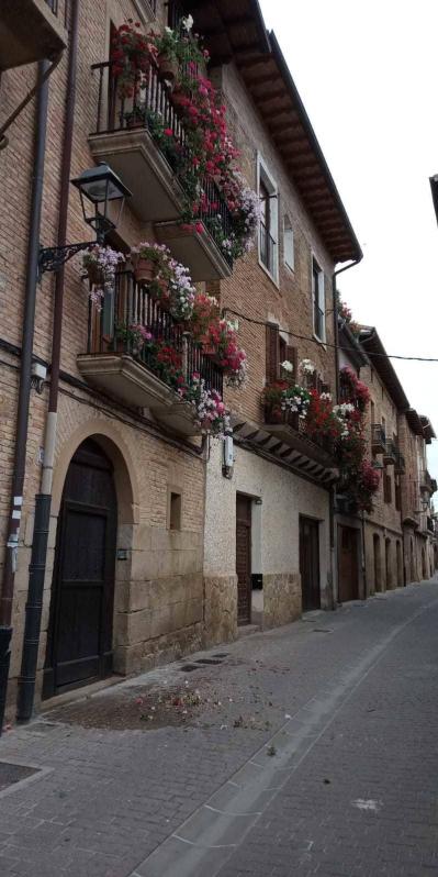 Fotos de la primavera enviadas por los lectores de diariodenavarra.es