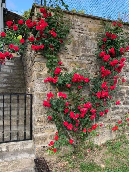 Fotos de la primavera enviadas por los lectores de diariodenavarra.es