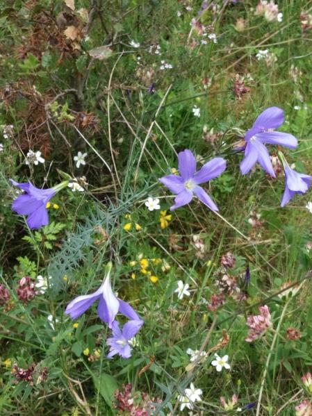 Fotos de la primavera enviadas por los lectores de diariodenavarra.es