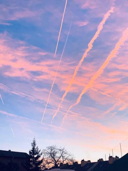 Fotos de la primavera enviadas por los lectores de diariodenavarra.es