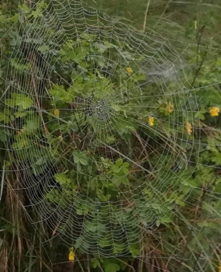 Fotos de la primavera enviadas por los lectores de diariodenavarra.es