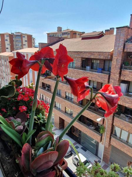 Fotos de la primavera enviadas por los lectores de diariodenavarra.es