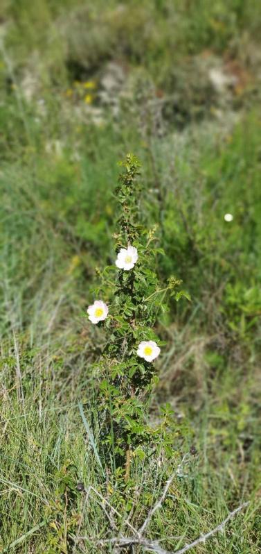 Fotos de la primavera enviadas por los lectores de diariodenavarra.es