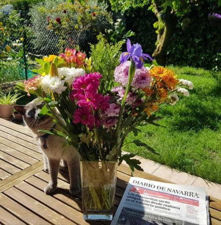 Fotos de la primavera enviadas por los lectores de diariodenavarra.es