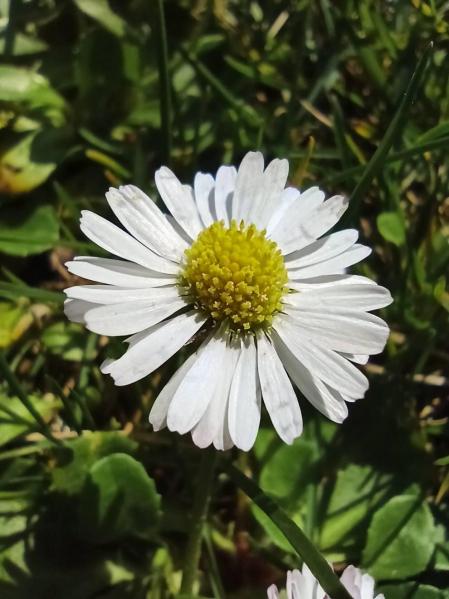 Fotos de la primavera enviadas por los lectores de diariodenavarra.es