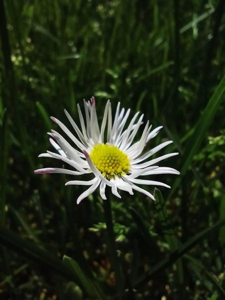Fotos de la primavera enviadas por los lectores de diariodenavarra.es