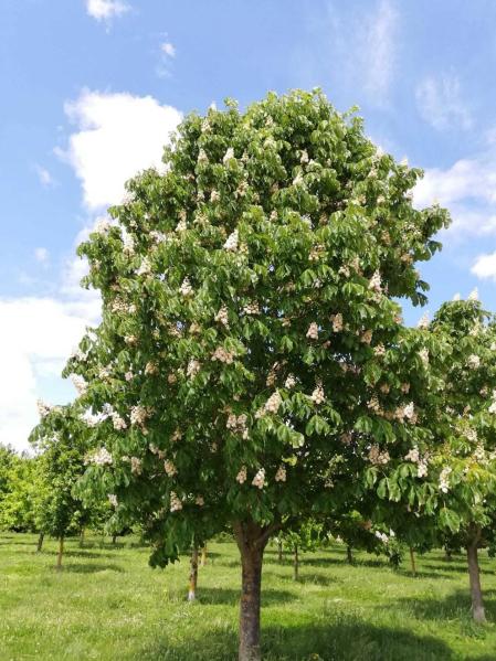 Fotos de la primavera enviadas por los lectores de diariodenavarra.es