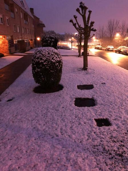 Imágenes de las distintas localidades de Navarra que amanecieron nevadas este martes, 31 de marzo de 2020.