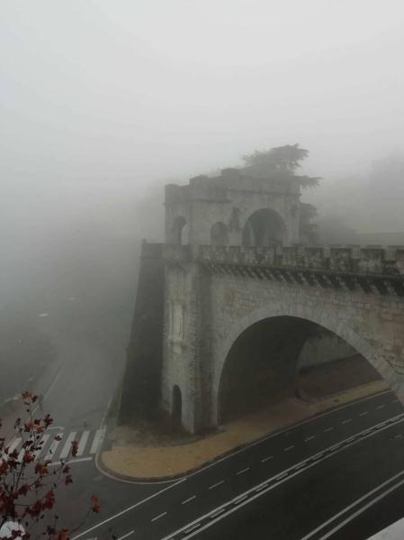 Fotos enviadas por los lectores durante el otoño de 2020.