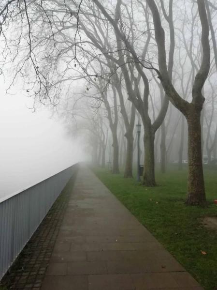 Fotos enviadas por los lectores durante el otoño de 2020.