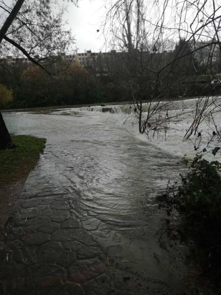 Fotos enviadas por los lectores durante el otoño de 2020.
