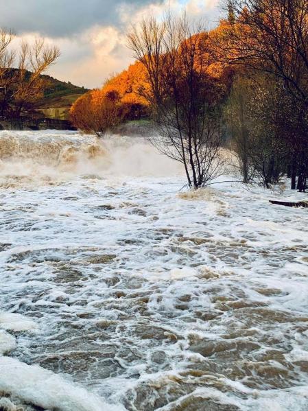Fotos enviadas por los lectores durante el otoño de 2020.
