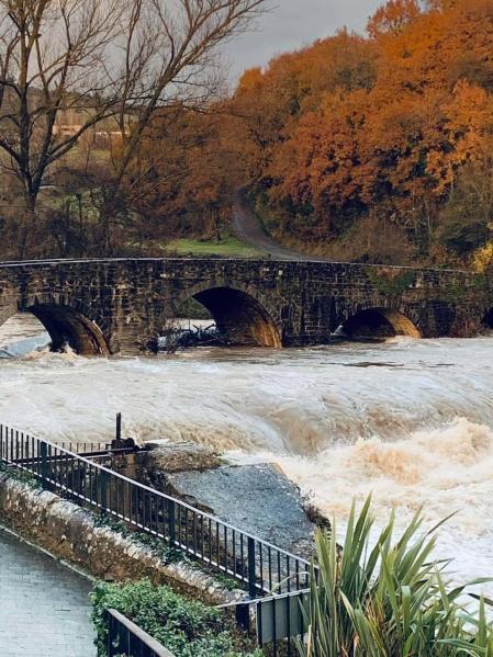 Fotos enviadas por los lectores durante el otoño de 2020.