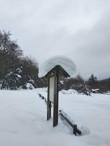Fotos enviadas por los lectores durante el otoño de 2020.