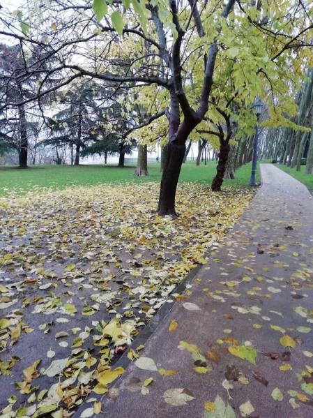 Fotos enviadas por los lectores durante el otoño de 2020.