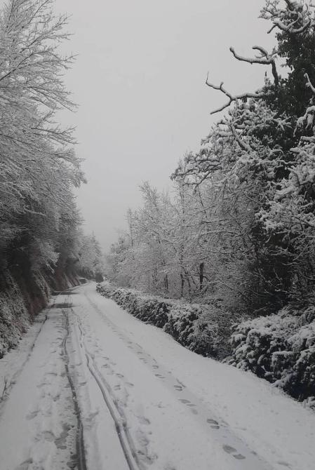 Fotos enviadas por los lectores durante el otoño de 2020.