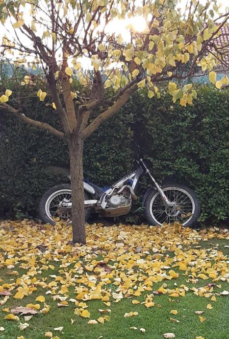 Fotos enviadas por los lectores durante el otoño de 2020.