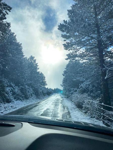 Fotos enviadas por los lectores durante el otoño de 2020.