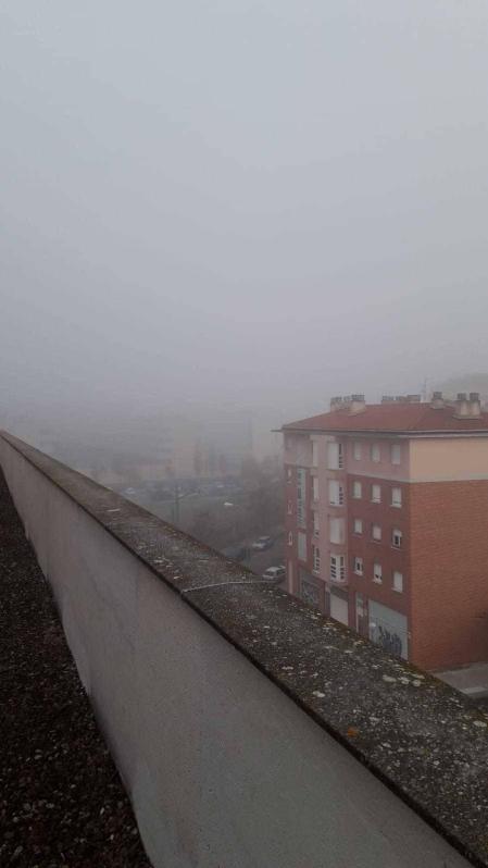 Fotos enviadas por los lectores durante el otoño de 2020.