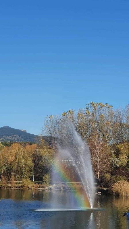 Fotos enviadas por los lectores durante el otoño de 2020.