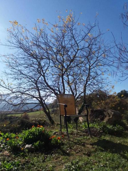 Fotos enviadas por los lectores durante el otoño de 2020.