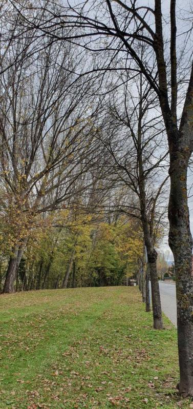 Fotos enviadas por los lectores durante el otoño de 2020.