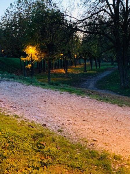 Fotos enviadas por los lectores durante el otoño de 2020.