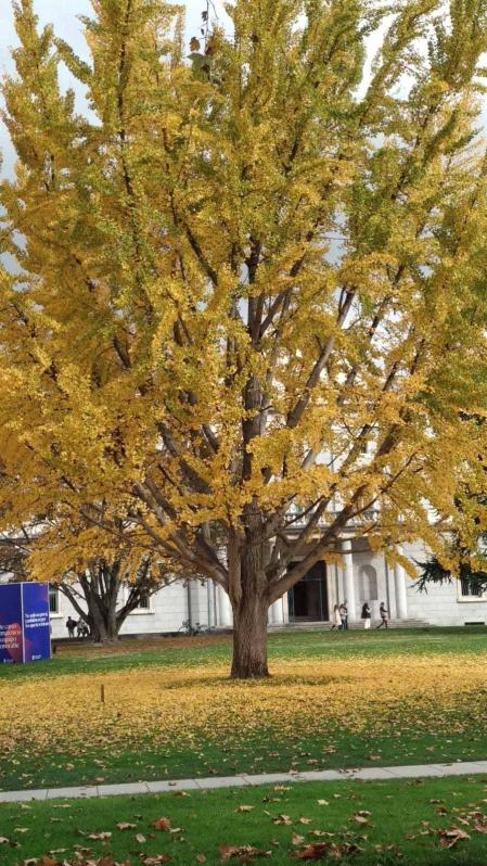 Fotos enviadas por los lectores durante el otoño de 2020.