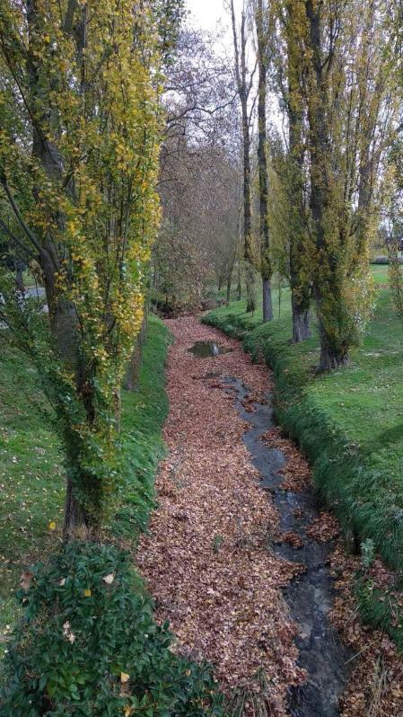 Fotos enviadas por los lectores durante el otoño de 2020.