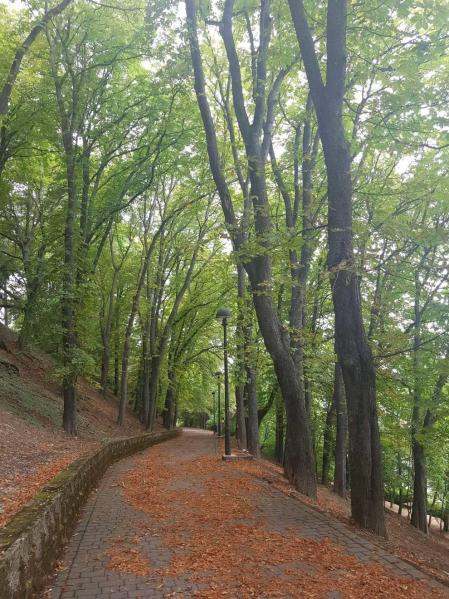 Fotos enviadas por los lectores durante el otoño de 2020.