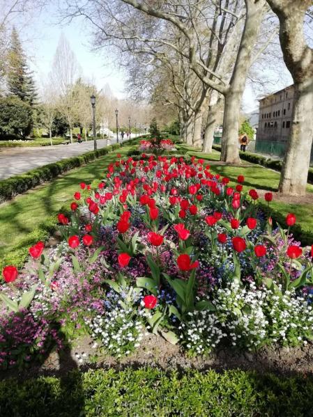 Fotos de la primavera enviadas por los lectores de diariodenavarra.es