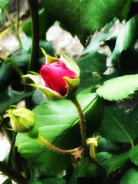 Fotos de la primavera enviadas por los lectores de diariodenavarra.es