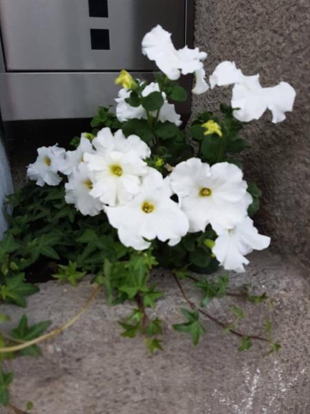 Fotos de la primavera enviadas por los lectores de diariodenavarra.es