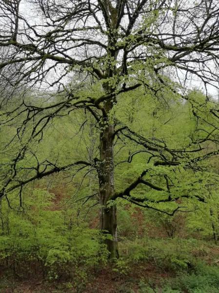 Fotos de la primavera enviadas por los lectores de diariodenavarra.es