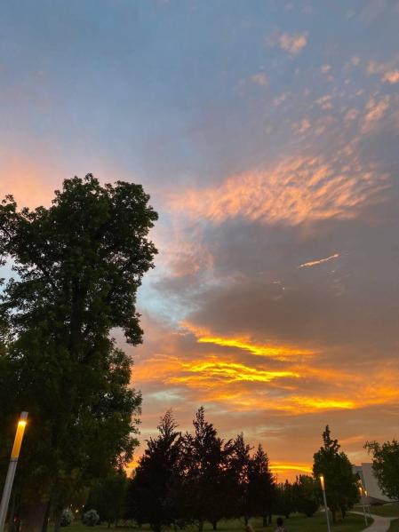Fotos de la primavera enviadas por los lectores de diariodenavarra.es