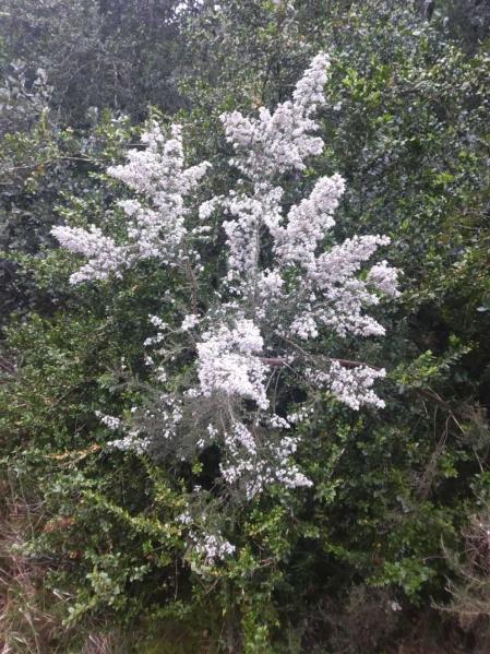 Fotos de la primavera enviadas por los lectores de diariodenavarra.es