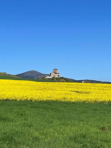 Fotos de la primavera enviadas por los lectores de diariodenavarra.es